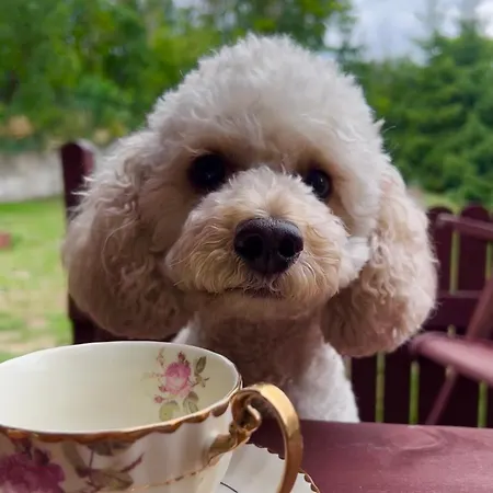 Dom Nad Jeziorami * Lubowo (Szczecinek)