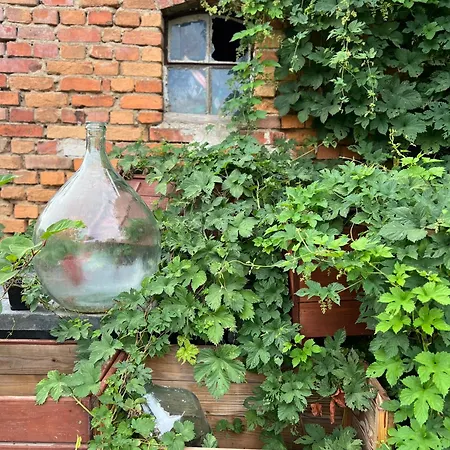 Apartment Dom Nad Jeziorami