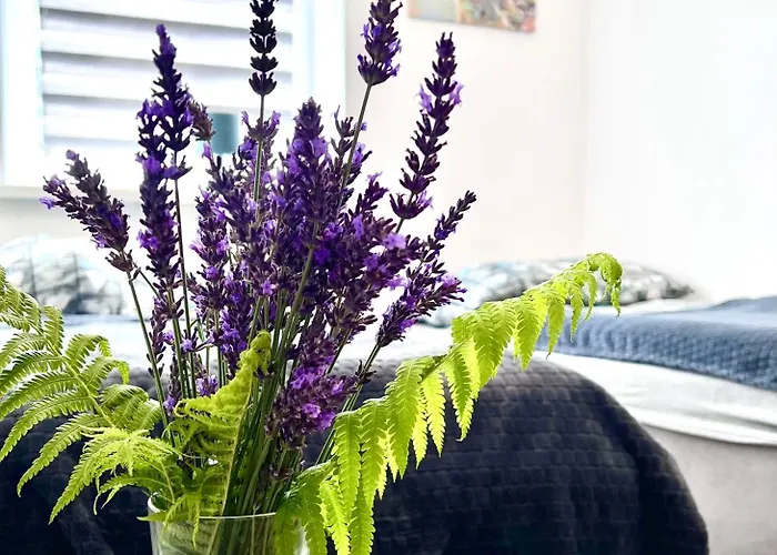 Dom Nad Jeziorami Apartment *