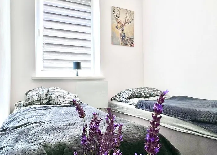 Dom Nad Jeziorami Appartamento *