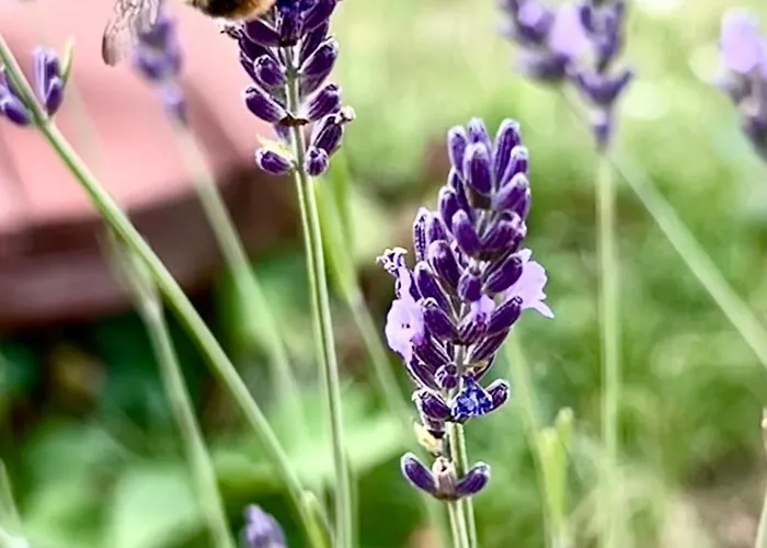 Appartamento Dom Nad Jeziorami Lubowo (Szczecinek)