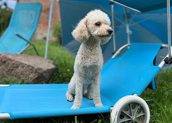 Dom Nad Jeziorami Lubowo (Szczecinek)