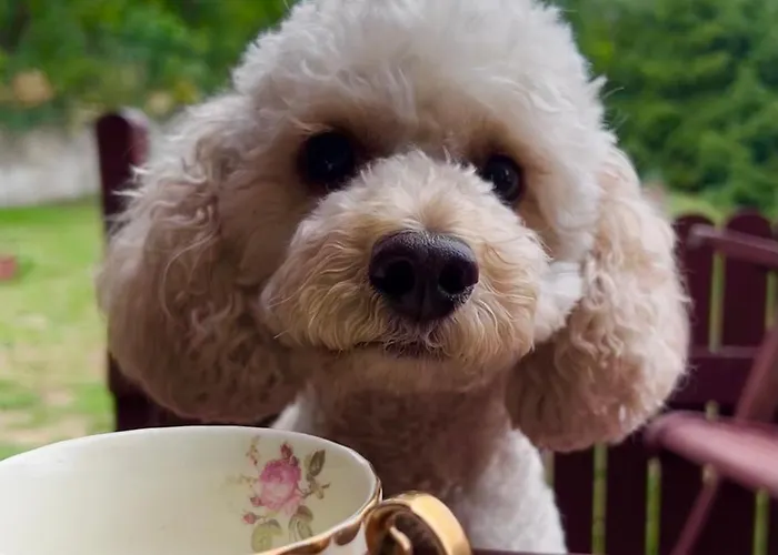 Dom Nad Jeziorami * Lubowo (Szczecinek)